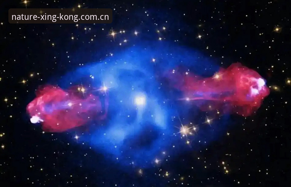 星空怎么样哪个好？星空体育官网v4.0升级全面解析与旧版兼容入口实战评估