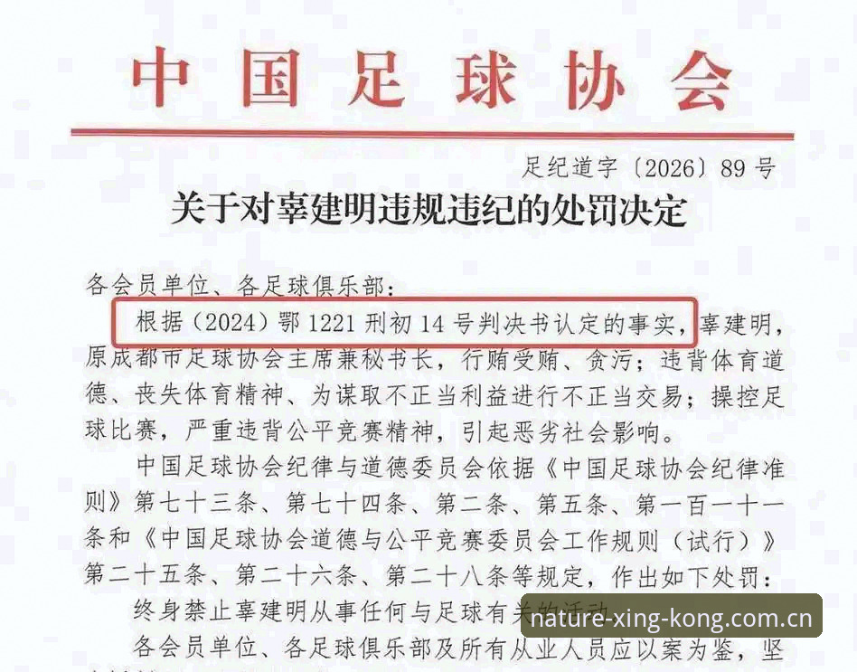 自然原力视野安装失败 57人禁足名单背后的系统性追问:从星空体育官网看足球治理的深度分析