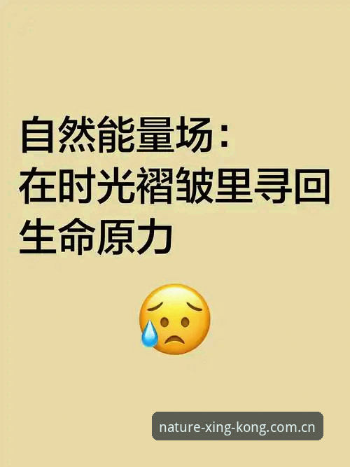 星空体育官网入口变更后，自然原力视野2026更新日志完整解读指南