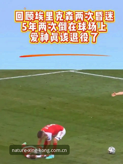 自然原力视野v4.0升级测评 埃里克森五次倒地背后:一场生命与科技的双重对决